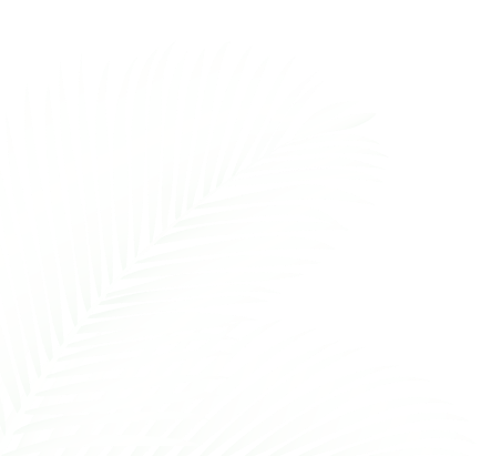 Ellington Eltiera Views